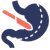 A detailed description of the image